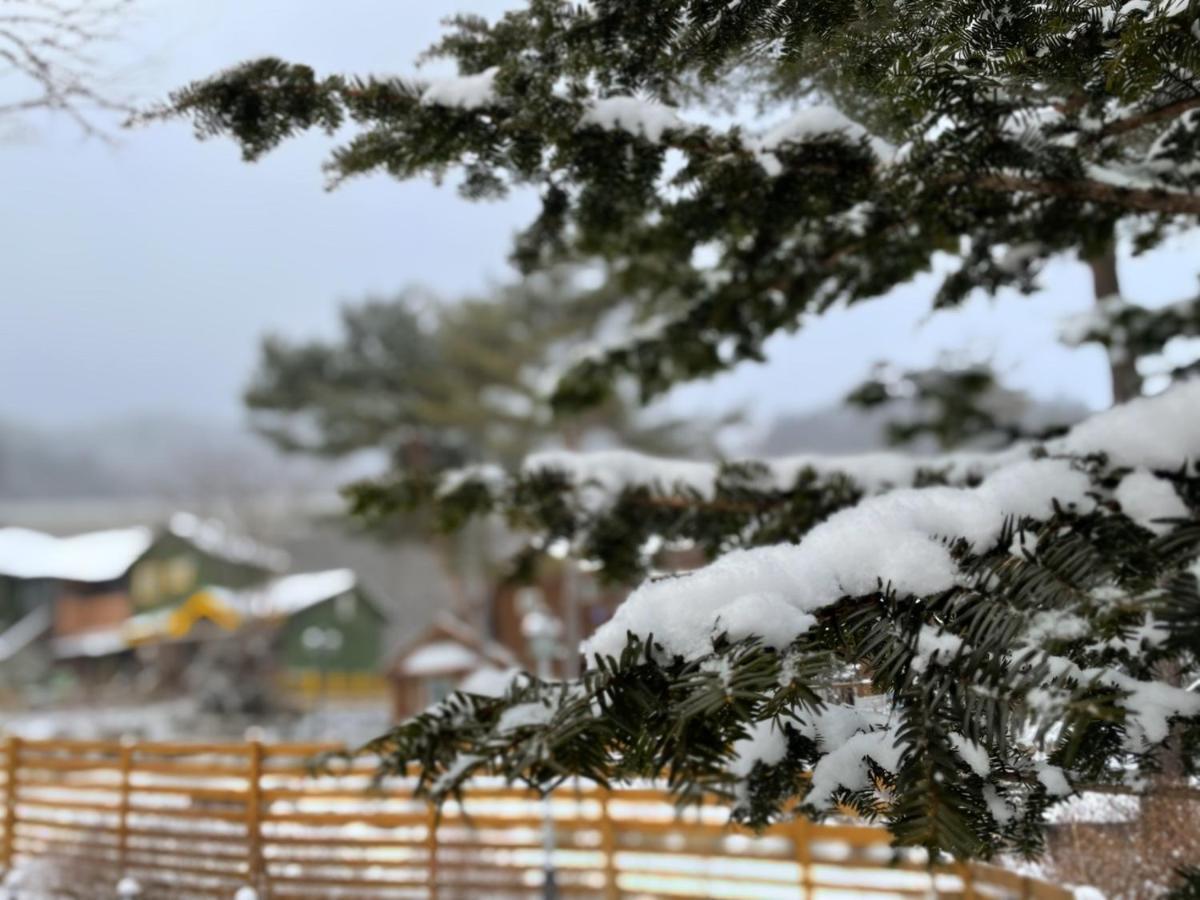 Honey Bear Pension Pyeongchang Esterno foto